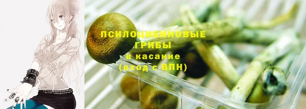 синтетический гашиш Костерёво