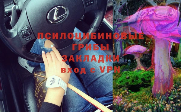 а пвп мука Корсаков