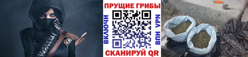Псилоцибиновые грибы прущие грибы  Людиново 