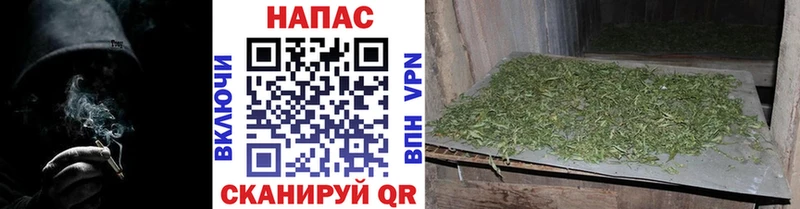Канабис план  где найти   Людиново 